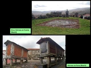 Eira e hórreos en Framia
(Beariz)
Hórreos na Forxa (Beariz)
 