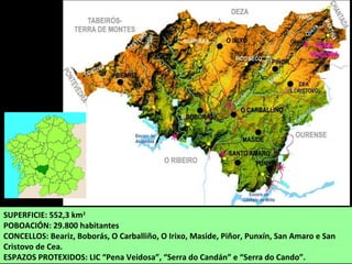 SUPERFICIE: 552,3 km2
POBOACIÓN: 29.800 habitantes
CONCELLOS: Beariz, Boborás, O Carballiño, O Irixo, Maside, Piñor, Punxín, San Amaro e San
Cristovo de Cea.
ESPAZOS PROTEXIDOS: LIC “Pena Veidosa”, “Serra do Candán” e “Serra do Cando”.
 