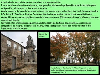 As principais actividades son os servizos e a agrogandaría.
É un concello eminentemente rural, sen grandes núcleos de poboación e moi afectado pola
emigración, aínda que cunha renda moi alta.
Acolle espazos de grande interese natural nas serras e nos vales dos ríos, incluíndo partes dos
LICs Serra do Candán e Cando. Conserva tamén importantes restos histórico-artísticos e
etnográficos: antas, petroglifos, calzada e ponte romana (Ricovanca-Xirazga), hórreos, igrexas,
casas tradicionais...
Hai varias rutas sinalizadas que permiten visitar o castro de Garfián e os petroglifos, os conxuntos
etnográficos de Magros, e Ricovanca e A Serra, onde se atopan os restos das minas de estano, moi
importantes noutros tempos.
Carballeira en San Pedro de Muradás, onde se atopa
unha ermida e o monumento ao emigrante do escultor
ourensán Xosé Cid.
Igrexa de
Beariz
 