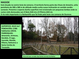 SUPERFICIE: 40,01 km2
POBOACIÓN: 2.906
habitantes (2014).
PARROQUIAS:
Amarante, Armeses,
Garabás, O Lago,
Louredo, Maside,
Piñeiro, Rañestres e
Santa Comba do
Trevoedo.
Área de lecer arredor das fontes termais da Rañoa
MASIDE
Está situado no centro leste da comarca. O territorio forma parte dos Chaos de Amoeiro, unha
penichaira de 200 a 300 m de altitude media cunha suave inclinación en sentido nordés-
suroeste. Presenta o aspecto dunha superficie moi erosionada con pequenas lombas onde os
cumes máis destacados son O Bolo (544 m) e O Piñeiro (443 m).
O río máis importante é o Barbantiño que fai linde polo leste coa comarca de Ourense.
 