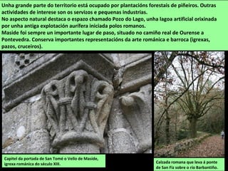 Calzada romana que leva á ponte
de San Fiz sobre o río Barbantiño.
Unha grande parte do territorio está ocupado por plantacións forestais de piñeiros. Outras
actividades de interese son os servizos e pequenas industrias.
No aspecto natural destaca o espazo chamado Pozo do Lago, unha lagoa artificial orixinada
por unha antiga explotación aurífera iniciada polos romanos.
Maside foi sempre un importante lugar de paso, situado no camiño real de Ourense a
Pontevedra. Conserva importantes representacións da arte románica e barroca (igrexas,
pazos, cruceiros).
Capitel da portada de San Tomé o Vello de Maside,
igrexa románica do século XIII.
 
