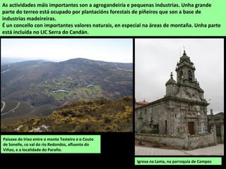 As actividades máis importantes son a agrogandeiría e pequenas industrias. Unha grande
parte do terreo está ocupado por plantacións forestais de piñeiros que son a base de
industrias madeireiras.
É un concello con importantes valores naturais, en especial na áreas de montaña. Unha parte
está incluída no LIC Serra do Candán.
Paisaxe do Irixo entre o monte Testeiro e o Couto
de Sonelle, co val do río Redondos, afluente do
Viñao, e a localidade do Paraño.
Igrexa na Lama, na parroquia de Campos
 