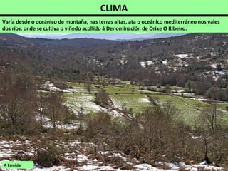 CLIMA
Varía desde o oceánico de montaña, nas terras altas, ata o oceánico mediterráneo nos vales
dos ríos, onde se cultiva o viñedo acollido á Denominación de Orixe O Ribeiro.
A Ermida
 