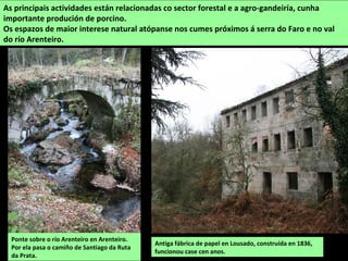As principais actividades están relacionadas co sector forestal e a agro-gandeiría, cunha
importante produción de porcino.
Os espazos de maior interese natural atópanse nos cumes próximos á serra do Faro e no val
do río Arenteiro.
Ponte sobre o río Arenteiro en Arenteiro.
Por ela pasa o camiño de Santiago da Ruta
da Prata.
Antiga fábrica de papel en Lousado, construída en 1836,
funcionou case cen anos.
 