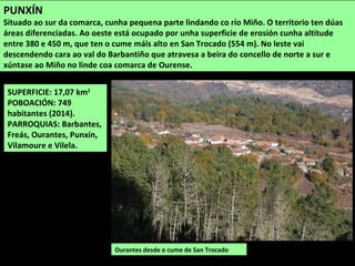 SUPERFICIE: 17,07 km2
POBOACIÓN: 749
habitantes (2014).
PARROQUIAS: Barbantes,
Freás, Ourantes, Punxín,
Vilamoure e Vilela.
Ourantes desde o cume de San Trocado
PUNXÍN
Situado ao sur da comarca, cunha pequena parte lindando co río Miño. O territorio ten dúas
áreas diferenciadas. Ao oeste está ocupado por unha superficie de erosión cunha altitude
entre 380 e 450 m, que ten o cume máis alto en San Trocado (554 m). No leste vai
descendendo cara ao val do Barbantiño que atravesa a beira do concello de norte a sur e
xúntase ao Miño no linde coa comarca de Ourense.
 