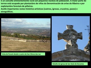 Detalle da igrexa de San Xoán de Ourantes
É un concello eminentemente rural con pequenos núcleos de poboación. A maior parte do
terreo está ocupado por plantacións de viñas da Denominación de orixe do Ribeiro e por
explotacións forestais de piñeiros.
Acolle importantes restos histórico-artísticos (castros, igrexas, cruceiros, pazos) e
etnográficos.
Vista de Punxín desde o castro de San Cibrao das Las
 