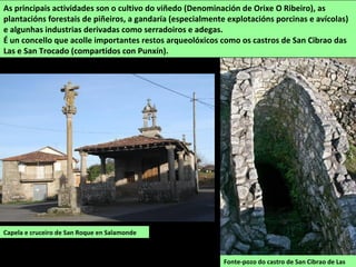 As principais actividades son o cultivo do viñedo (Denominación de Orixe O Ribeiro), as
plantacións forestais de piñeiros, a gandaría (especialmente explotacións porcinas e avícolas)
e algunhas industrias derivadas como serradoiros e adegas.
É un concello que acolle importantes restos arqueolóxicos como os castros de San Cibrao das
Las e San Trocado (compartidos con Punxín).
Fonte-pozo do castro de San Cibrao de Las
Capela e cruceiro de San Roque en Salamonde
 
