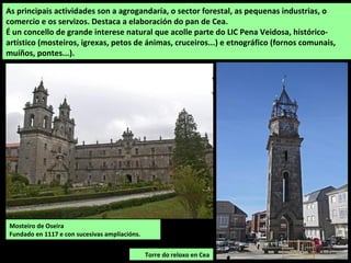 Mosteiro de Oseira
Fundado en 1117 e con sucesivas ampliacións.
As principais actividades son a agrogandaría, o sector forestal, as pequenas industrias, o
comercio e os servizos. Destaca a elaboración do pan de Cea.
É un concello de grande interese natural que acolle parte do LIC Pena Veidosa, histórico-
artístico (mosteiros, igrexas, petos de ánimas, cruceiros...) e etnográfico (fornos comunais,
muíños, pontes...).
Torre do reloxo en Cea
 