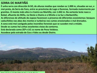 SERRA DE MARTIÑÁ
É unha serra con dirección N-SO, de alturas medias que rondan os 1.000 m, situadas ao sur, e
moi preto, da Serra do Faro, entre as provincias de Lugo e Ourense, formada maiormente por
granitos. O monte máis alto é o Castro ou Martiñá, con 1.042 m. Na vertente leste nace o
Bubal, afluente do Miño, na Oeste o Oseira e o Mirela e na Sur o Barbantiño.
As diferenzas de altitude do espazo favorecen a presenza de diferentes ecosistemas: bosques
caducifolios nas abas dos montes e turbeiras nos cumes erosionados e mal drenados.
A zona está moi castigada polos incendios forestais que se suceden moi a miúdo.
Desde os cumes hai unhas excelentes vistas da contorna.
Está declarada como ZEP e LIC co nome de Pena Veidosa.
Accedese pola estrada de Cea a Vales ou desde Oseira.
 