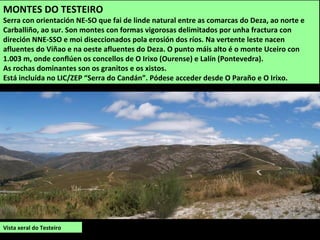Vista xeral do Testeiro
MONTES DO TESTEIRO
Serra con orientación NE-SO que fai de linde natural entre as comarcas do Deza, ao norte e
Carballiño, ao sur. Son montes con formas vigorosas delimitados por unha fractura con
direción NNE-SSO e moi diseccionados pola erosión dos ríos. Na vertente leste nacen
afluentes do Viñao e na oeste afluentes do Deza. O punto máis alto é o monte Uceiro con
1.003 m, onde conflúen os concellos de O Irixo (Ourense) e Lalín (Pontevedra).
As rochas dominantes son os granitos e os xistos.
Está incluída no LIC/ZEP “Serra do Candán”. Pódese acceder desde O Paraño e O Irixo.
 