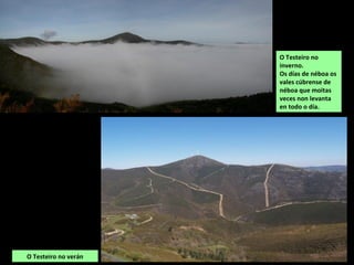 O Testeiro no verán
O Testeiro no
inverno.
Os días de néboa os
vales cúbrense de
néboa que moitas
veces non levanta
en todo o día.
 