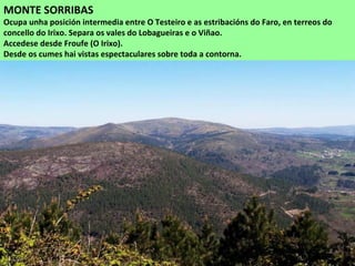 MONTE SORRIBAS
Ocupa unha posición intermedia entre O Testeiro e as estribacións do Faro, en terreos do
concello do Irixo. Separa os vales do Lobagueiras e o Viñao.
Accedese desde Froufe (O Irixo).
Desde os cumes hai vistas espectaculares sobre toda a contorna.
 