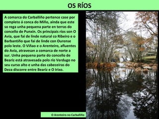 OS RÍOS
O Arenteiro no Carballiño
A comarca do Carballiño pertence case por
completo á conca do Miño, aínda que este
so rega unha pequena parte en terras do
concello de Punxín. Os principais ríos son O
Avia, que fai de linde natural co Ribeiro e o
Barbantiño que fai de linde con Ourense
polo leste. O Viñao e o Arenteiro, afluentes
do Avia, atravesan a comarca de norte a
sur. Unha pequena parte do concello de
Beariz está atravesada polo río Verdugo no
seu curso alto e unha das cabeceiras do
Deza discorre entre Beariz e O Irixo.
 