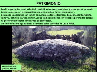PATRIMONIO
Acolle importantes mostras histórico-artísticas (castros, mosteiros, igrexas, pazos, petos de
ánimas, cruceiros...) e etnográficas (museos, muíños, fornos comunais...).
De grande importancia son tamén as numerosas fontes termais e balnearios (O Carballiño,
Partovía, Bañiño de Arcos, Punxín...) que tradicionalmente son visitados por moitas persoas
na percura de mellorar a súa saúde ou como lecer.
O Camiño de Santiago atravesa a comarca polos concellos de Cea e Piñor.
Petróglifo do Bolo
(Garabás, Maside)
 