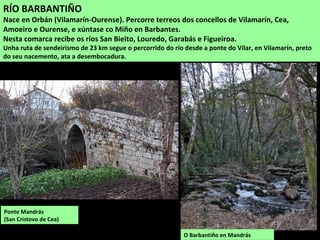 RÍO BARBANTIÑO
Nace en Orbán (Vilamarín-Ourense). Percorre terreos dos concellos de Vilamarín, Cea,
Amoeiro e Ourense, e xúntase co Miño en Barbantes.
Nesta comarca recibe os ríos San Bieito, Louredo, Garabás e Figueiroa.
Unha ruta de sendeirismo de 23 km segue o percorrido do río desde a ponte do Vilar, en Vilamarín, preto
do seu nacemento, ata a desembocadura.
Ponte Mandrás
(San Cristovo de Cea)
O Barbantiño en Mandrás
 