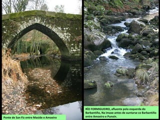 RÍO FORMIGUEIRO, afluente pola esquerda do
Barbantiño, Na imaxe antes de xuntarse co Barbantiño
entre Amoeiro e Punxín.Ponte de San Fiz entre Maside e Amoeiro
 