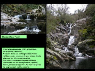 FERVENZA DO CACHÓN, POZO DO INFERNO
Entre Maside e Amoeiro.
A erosión do río nas rochas graníticas forma
rápidos, pozas e fervenzas de gran beleza. A máis
alta mide uns 10 m en varios saltos.
Está nunha contorna cunha vexetación moi
conservada, con bos exemplares de carballos,
freixos, amieiras e salgueiros. Na marxe esquerda
hai un grupo de 3 muíños en serie.
O Barbantiño en Punxín
 