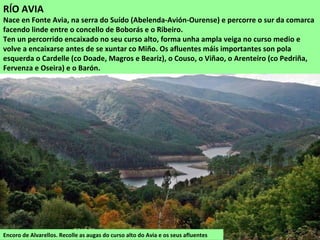 Encoro de Alvarellos. Recolle as augas do curso alto do Avia e os seus afluentes
RÍO AVIA
Nace en Fonte Avia, na serra do Suído (Abelenda-Avión-Ourense) e percorre o sur da comarca
facendo linde entre o concello de Boborás e o Ribeiro.
Ten un percorrido encaixado no seu curso alto, forma unha ampla veiga no curso medio e
volve a encaixarse antes de se xuntar co Miño. Os afluentes máis importantes son pola
esquerda o Cardelle (co Doade, Magros e Beariz), o Couso, o Viñao, o Arenteiro (co Pedriña,
Fervenza e Oseira) e o Barón.
 