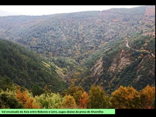 Val encaixado do Avia entre Boborás e Leiro, augas abaixo da presa de Alvarellos
 