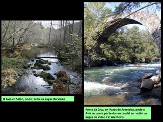 O Avia en Salón, onde recibe as augas do Viñao
Ponte da Cruz, en Pazos de Arenteiro, onde o
Avia recupera parte do seu caudal ao recibir as
augas do Viñao e o Arenteiro.
 