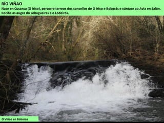 O Viñao en Boborás
RÍO VIÑAO
Nace en Cusanca (O Irixo), percorre terreos dos concellos de O Irixo e Boborás e xúntase ao Avia en Salón.
Recibe as augas do Lobagueiras e o Lodeiros.
 