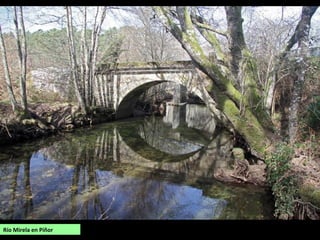 Río Mirela en Piñor
 