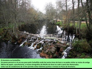 O Arenteiro no Carballiño.
Un paseo percorre o río ao seu paso polo Carballiño onde hai varias áreas de lecer e se poden visitar os restos da antiga
fábrica de papel, a piscifactoría, o museo etnográfico do Muíño do Anxo ou subir á pena dos Namorados.
Unha ruta de sendeirismo de 11 km permite visitar distintos puntos e remata en Pazos de Arenteiro.
 