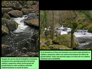 O río Arenteiro en Pazos de Arenteiro nun tramo onde abondan os
rápidos e pequenos saltos nun entorno de bosques de ribeira de
grande beleza. Unha ruta permite seguir un tramo do río e pódese
continuar ata o Carballiño.Despois de saír da vila do Carballiño o Arenteiro
encáixase entre penedos granítico formando
rápidos e pequenos saltos nunha paraxe de
grande beleza e valor ecolóxico coñecido
tradicionalmente co nome do Salto.
 