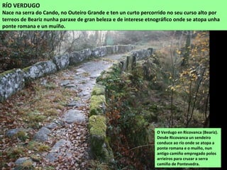 RÍO VERDUGO
Nace na serra do Cando, no Outeiro Grande e ten un curto percorrido no seu curso alto por
terreos de Beariz nunha paraxe de gran beleza e de interese etnográfico onde se atopa unha
ponte romana e un muíño.
O Verdugo en Ricovanca (Beariz).
Desde Ricovanca un sendeiro
conduce ao río onde se atopa a
ponte romana e o muíño, nun
antigo camiño empregado polos
arrieiros para cruzar a serra
camiño de Pontevedra.
 