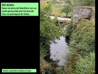 Muíño e pontella no Búbal en Vales
RÍO BÚBAL
Nace na serra da Martiñá e ten un
curto percorrido por terreos de
Cea, na parroquia de Vales.
 