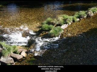 MONTAXE E FOTOS: Adela Leiro,
DEBUXOS: Mon Daporta
setembro 2017
 