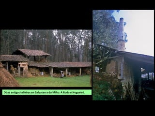 Dúas antigas telleiras en Salvaterra do Miño: A Roda e Nogueiró.
 