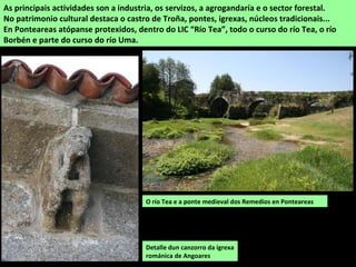 O río Tea e a ponte medieval dos Remedios en Ponteareas
As principais actividades son a industria, os servizos, a agrogandaría e o sector forestal.
No patrimonio cultural destaca o castro de Troña, pontes, igrexas, núcleos tradicionais...
En Ponteareas atópanse protexidos, dentro do LIC “Río Tea”, todo o curso do río Tea, o río
Borbén e parte do curso do río Uma.
Detalle dun canzorro da igrexa
románica de Angoares
 