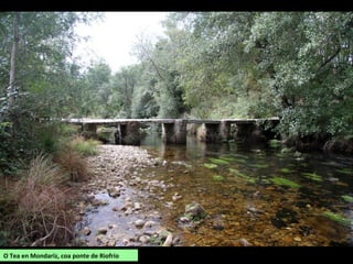 O Tea en Mondariz, coa ponte de Riofrío
 