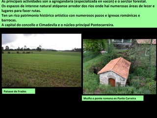 Muíño e ponte romana en Ponte Carreira
As principais actividades son a agrogandaría (especializada en vacún) e o serctor forestal.
Os espazos de interese natural atópanse arredor dos ríos onde hai numerosas áreas de lecer e
lugares para facer rutas.
Ten un rico patrimonio histórico artístico con numerosos pazos e igrexas románicas e
barrocas.
A capital do concello e Cimadevila e o núcleo principal Pontecarreira.
Paisaxe de Frades
 