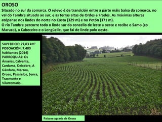 SUPERFICIE: 72,03 km2
POBOACIÓN: 7.400
habitantes (2014)
PARROQUIAS: Os
Ánxeles, Calvente,
Cardama, Deixebre, A
Gándara, Marzoa,
Oroso, Pasarelos, Senra,
Trasmonte e
Vilarromarís.
Paisaxe agraria de Oroso
OROSO
Situado no sur da comarca. O relevo é de transición entre a parte máis baixa da comarca, no
val do Tambre situado ao sur, e as terras altas de Ordes e Frades. As máximas alturas
atópanse nos lindes do norte no Costa (329 m) e no Petón (371 m).
O río Tambre percorre todo o linde sur do concello de leste a oeste e recibe o Samo (co
Maruzo), o Cabeceiro e o Lengüelle, que fai de linde polo oeste.
 