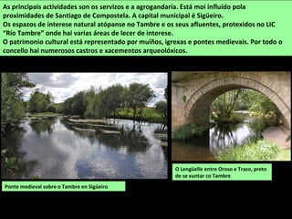 O Lengüelle entre Oroso e Trazo, preto
de se xuntar co Tambre
As principais actividades son os servizos e a agrogandaría. Está moi influído pola
proximidades de Santiago de Compostela. A capital municipal é Sigüeiro.
Os espazos de interese natural atópanse no Tambre e os seus afluentes, protexidos no LIC
“Río Tambre” onde hai varias áreas de lecer de interese.
O patrimonio cultural está representado por muíños, igrexas e pontes medievais. Por todo o
concello hai numerosos castros e xacementos arqueolóxicos.
Ponte medieval sobre o Tambre en Sigüeiro
 