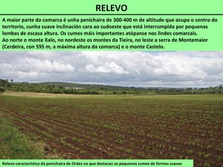 RELEVO
Relevo característico da penichaira de Ordes no que destacan os pequenos cumes de formas suaves
A maior parte da comarca é unha penichaira de 300-400 m de altitude que ocupa o centro do
territorio, cunha suave inclinación cara ao sudoeste que está interrumpida por pequenas
lombas de escasa altura. Os cumes máis importantes atópanse nos lindes comarcais.
Ao norte o monte Xalo, no nordeste os montes da Tieira, no leste a serra de Montemaior
(Cerdeira, con 595 m, a máxima altura da comarca) e o monte Castelo.
 