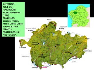 SUPERFICIE:
755,1 km2
POBOACIÓN:
37.687 habitantes
(2014)
CONCELLOS:
Cerceda, Frades,
Mesía, Ordes, Oroso,
Tordoia e Trazo.
ESPAZOS
PROTEXIDOS: LIC
“Río Tambre”.
 