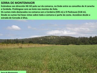 SERRA DE MONTEMAIOR
Esténdese con dirección NE-SO polo sur da comarca, no linde entre os concellos de A Laracha
e Cerdeda. Prolóngase cara ao leste nos montes do Xalo.
Os cumes máis destacados na comarca son o Cerdeira (595 m) e O Pedrouzo (518 m).
Desde os cumes hai boas vistas sobre toda a comarca e parte da costa. Accedese desde a
estrada de Cerceda á Silva.
 