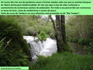 Couto de pesca no Tambre
Os cursos dos ríos son de pendente suave e forman amplos vales nos que se asentan bosques
de ribeira dunha gran biodiversidade. Os ríos son aquí o eixo da vida e articulan o
asentamento de numerosos núcleos de poboación. Por todo o seu percorrido son numerosas
as áreas de lecer, rutas de sendeirismo e coutos de pesca.
Parte do curso do Tambre e os seus afluentes está protexido no LIC “Río Tambre”.
 