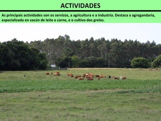 ACTIVIDADES
As principais actividades son os servizos, a agricultura e a industria. Destaca a agrogandaría,
especializada en vacún de leite e carne, e o cultivo dos grelos.
 