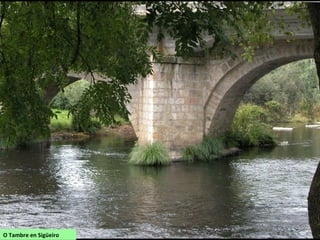 O Tambre en Sigüeiro
 