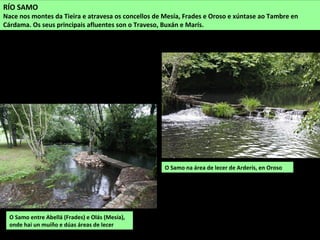 O Samo na área de lecer de Arderís, en Oroso
RÍO SAMO
Nace nos montes da Tieira e atravesa os concellos de Mesía, Frades e Oroso e xúntase ao Tambre en
Cárdama. Os seus principais afluentes son o Traveso, Buxán e Marís.
O Samo entre Abellá (Frades) e Olás (Mesía),
onde hai un muíño e dúas áreas de lecer
 