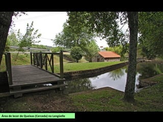 Área de lecer de Queixas (Cerceda) no Lengüelle
 