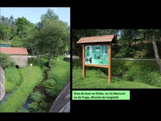 Área de lecer en Ordes, no río Mercurín
ou da Fraga, afluente do Lengüelle
 