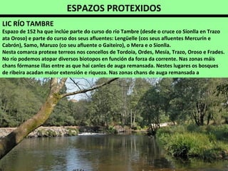 ESPAZOS PROTEXIDOS
O Tambre en Sigüeiro
LIC RÍO TAMBRE
Espazo de 152 ha que inclúe parte do curso do río Tambre (desde o cruce co Sionlla en Trazo
ata Oroso) e parte do curso dos seus afluentes: Lengüelle (cos seus afluentes Mercurín e
Cabrón), Samo, Maruzo (co seu afluente o Gaiteiro), o Mera e o Sionlla.
Nesta comarca protexe terreos nos concellos de Tordoia, Ordes, Mesía, Trazo, Oroso e Frades.
No río podemos atopar diversos biotopos en función da forza da corrente. Nas zonas máis
chans fórmanse illas entre as que hai canles de auga remansada. Nestes lugares os bosques
de ribeira acadan maior extensión e riqueza. Nas zonas chans de auga remansada a
vexetación é mais abundante e nas zonas de corrente so viven nas beiras.
 