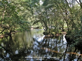 MONTAXE E FOTOS: Adela Leiro, Mon Daporta
Maio 2017
 