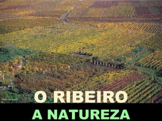 O RIBEIRO
A NATUREZA
Vides en Beade
 