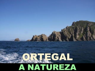 ORTEGAL
A NATUREZA
 